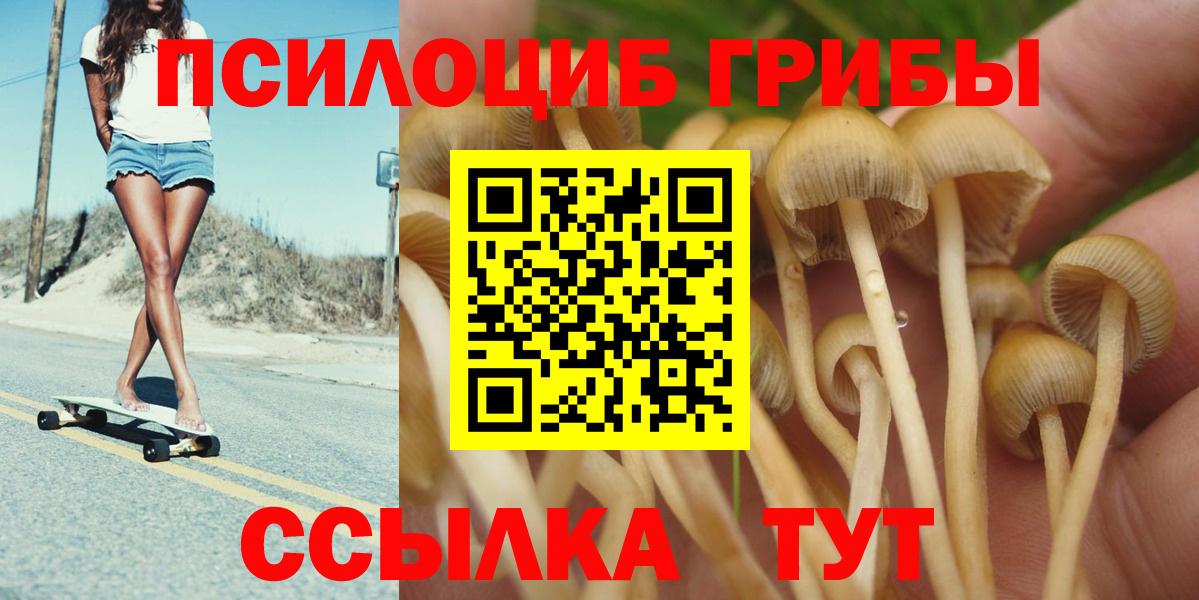 Галлюциногенные грибы Psilocybine cubensis Вязьма